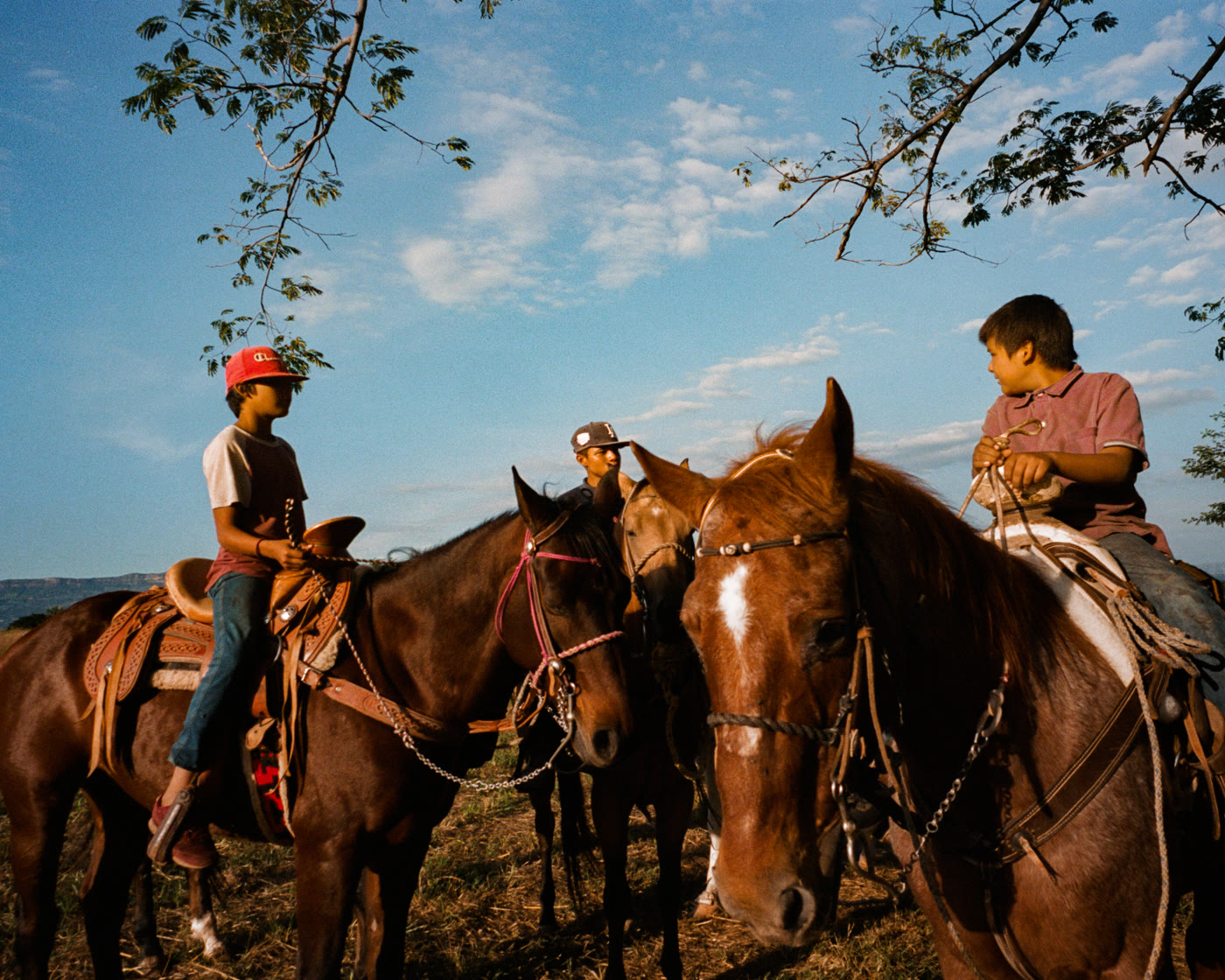 Codigo 1530 · photograph by Jeff Smith